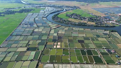 Vùng nuôi tôm Hợp tác xã Phan Hiền, xã Vĩnh Thủy, nơi hạ tầng nuôi trồng thủy sản chưa được đầu tư đồng bộ, khiến người nuôi tôm gặp nhiều rủi ro - Ảnh: L.A