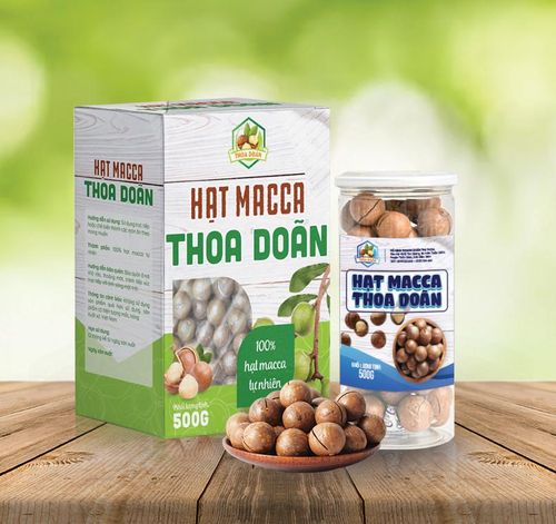 Hạt mắc ca Điện Biên