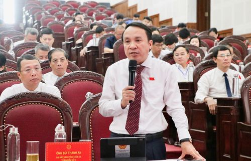 Phó Chủ tịch Thường trực HĐND tỉnh Dương Đình Chỉnh phát biểu tại Tổ 1