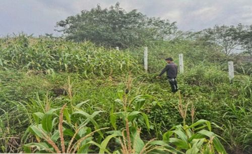 Hiện trường Ksơr Y B gây án.