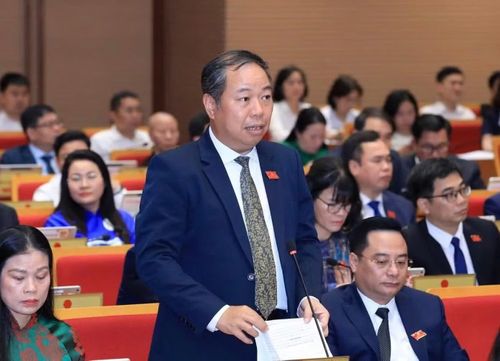 Đại biểu Trần Thọ Hiền nêu thực trạng cải tạo chung cư cũ. Ảnh: Thành Thái