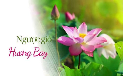 Hình mang tính minh họa. Nguồn: Internet