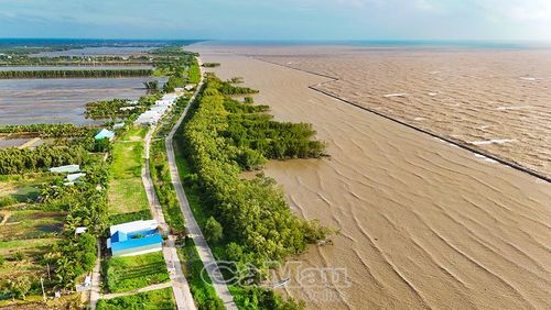 Tuyến kè đê biển Tây đoạn qua địa bàn xã Đá Bạc, tỉnh Cà Mau - nơi từng bị sóng biển xâm thực trên 300 m tính từ chân đê ra biển.