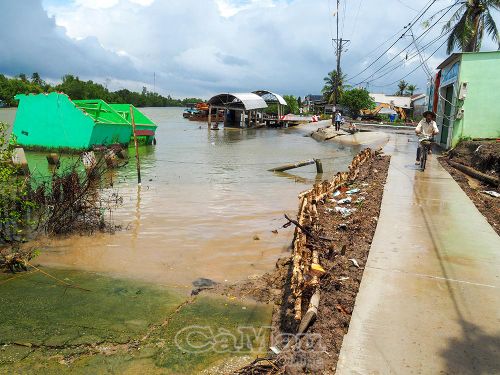 Hiện trường vụ sạt lở ngày 24/4/2026 tại Ấp 1, xã Đầm Dơi, tỉnh Cà Mau gây thiệt hại tài sản trên 3 tỷ đồng.