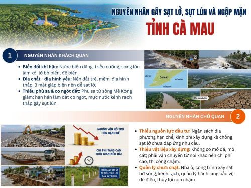 Thiết kế: LÊ TUẤN