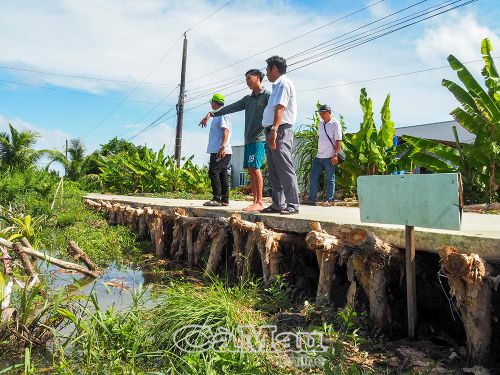  Tuyến lộ ven sông được người dân gia cố tạm thời bằng cừ tràm, tại ấp Lung Tràm, xã Khánh Lâm, tỉnh Cà Mau.