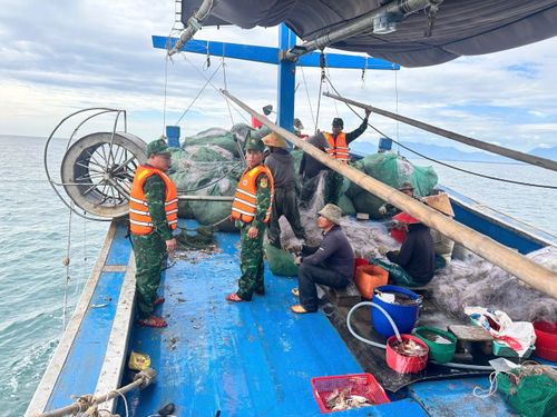 Lực lượng Bộ đội Biên phòng TP Huế đang đưa tàu cá vi phạm đến vị trí neo đậu chờ xử lý. (Ảnh: Hồng Minh)