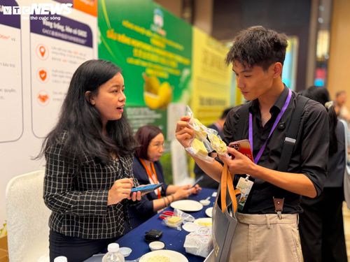 Các nhà mua hàng Trung Quốc tìm hiểu về các sản phẩm sầu riêng chế biến sâu.