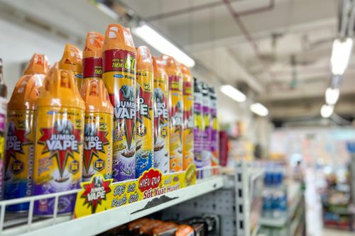 Sản phẩm hóa chất diệt côn trùng được xếp tại quầy riêng biệt, cách xa thực phẩm trong một hiệu tạp hóa ở xã Đại Thanh, Hà Nội. Ảnh: Khánh Huy