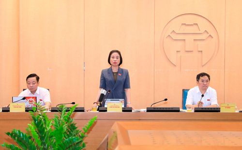Phó Chủ tịch HĐND thành phố Hà Nội Phạm Thị Thanh Mai phát biểu tại Tổ 2. Ảnh: Thành Thái