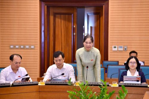 Đại biểu Hà Thị Vinh (Tổ đại biểu số 28), Chủ tịch Hiệp hội Thủ công mỹ nghệ và Làng nghề Hà Nội.