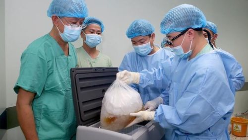 Một lá gan được điều phối, chuyển từ Huế ra Hà Nội để ghép cho bệnh nhân tại Bệnh viện Việt Đức. Ảnh: Trung tâm Điều phối Quốc gia về ghép bộ phận cơ thể người.