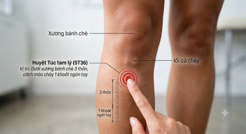 Day bấm huyệt Túc tam lý giúp bổ khí huyết, kiện tỳ vị, điều hòa chức năng tiêu hóa, tăng cường sức khỏe toàn thân.