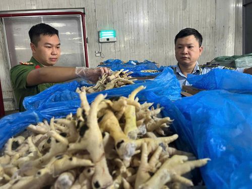 Lực lượng chức năng kiểm tra khối lượng lớn chân gà mốc trắng bốc mùi trong kho chứa. Ảnh: Đạt Lê.