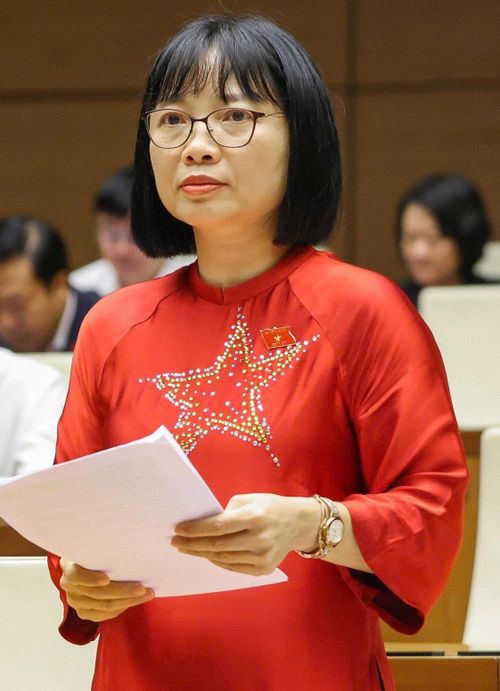 Bà Nguyễn Thị Việt Nga.