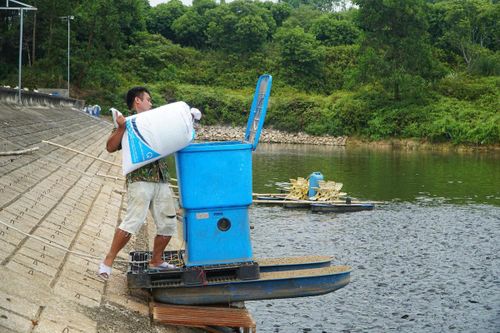 Anh Toàn đầu tư 6 máy cho ăn tự động để giảm chi phí nhân công. Ảnh: Đình Minh