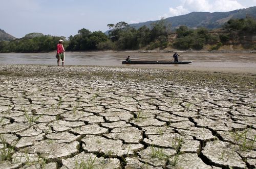 NOAA và nhiều tổ chức tài chính cảnh báo El Nino cường độ rất mạnh có thể gây hạn hán hoặc lũ lụt trên diện rộng. Ảnh: Reuters.