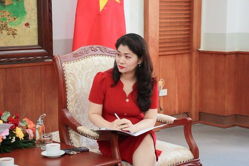 Cục trưởng Cục Hợp tác quốc tế Nguyễn Phương Hòa trao đổi tại buổi làm việc