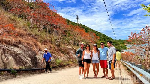 Mùa hoa Ngô đồng đỏ nở thu hút đông đảo du khách đến tham quan, chụp ảnh, check in…