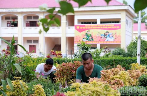 Chiến sĩ Trung đoàn Bộ binh 88 củng cố, nâng cấp bồn hoa, cây cảnh tạo doanh trại chính quy, xanh, sạch, đẹp.