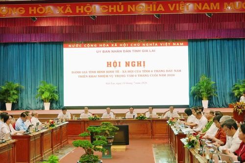 Các đại biểu tham gia hội nghị.