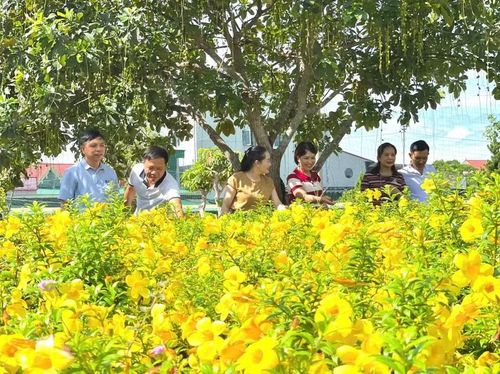 Không gian ngập tràn sắc hoa tại Trường THCS Mỹ Châu trong những ngày hè.