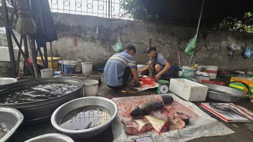 Tại đây, các hoạt động buôn bán được tổ chức công khai, đặc biệt là một số sạp kinh doanh thực phẩm tươi sống hoạt động xả thải trực tiếp, gây ảnh hưởng nghiêm trọng đến công tác đảm bảo vệ sinh môi trường khu vực.