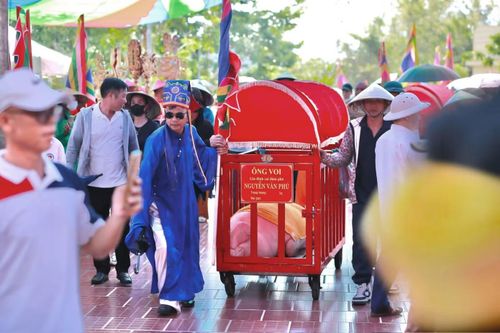 “Ông Voi” không phải là voi thật mà là tên gọi trang trọng dành cho những chú lợn được các gia đình làm “ông Đám” tuyển chọn và nuôi dưỡng để dâng tế Thành hoàng trong dịp lễ hội.