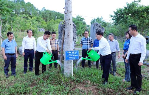 Ông Trần Đức Vinh và Giám đốc Ban Quản lý Khu di tích Ngã ba Đồng Lộc và Khu tưởng niệm Lý Tự Trọng Đặng Quốc Vũ tưới nước cây Sa la trong khuôn viên Khu di tích lịch sử quốc gia đặc biệt Ngã ba Đồng Lộc. Ảnh: Mai Đỉnh
