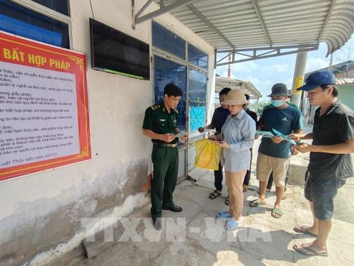 Đồn Biên phòng Hàm Luông tuyên truyền phòng chống khai thác IUU cho ngư dân. Ảnh: Huỳnh Phúc Hậu - TTXVN