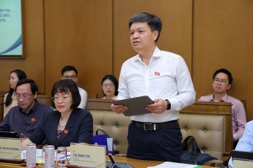 Ông Tạ Đình Thi - Phó Chủ nhiệm Ủy ban Khoa học, Công nghệ và Môi trường của Quốc hội đánh giá cao sự chuẩn bị kỹ lưỡng và các ý kiến đóng góp của Petrovietnam. Ảnh: HA/Bnews/vnanet.vn