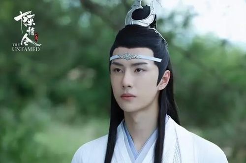 Vương Nhất Bác duy trì sức nóng với nhiều dự án thuộc các thể loại khác nhau sau thành công của Trần Tình Lệnh. Ảnh: Sohu