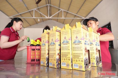 Yêu cầu minh bạch dữ liệu qua mã QR là đòn bẩy buộc các cơ sở sản xuất truyền thống phải thay đổi tư duy, nâng cấp toàn diện từ chất lượng bên trong đến diện mạo bên ngoài. Ảnh: Thành Đô