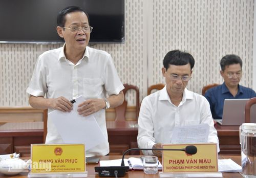 Phó Chủ tịch HĐND tỉnh An Giang Giang Văn Phục phát biểu tại cuộc họp.