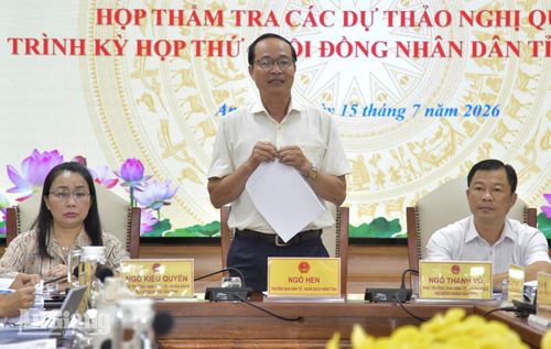Trưởng Ban Kinh tế - Ngân sách HĐND tỉnh An Giang Ngô Hen phát biểu tiếp thu các ý kiến góp ý.