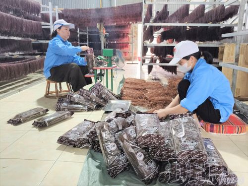 Công nhân HTX Chế biến kinh doanh nông sản Điện Biên đóng gói sản phẩm.