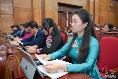 Đại biểu dự kỳ họp. Ảnh: Diệp Chi