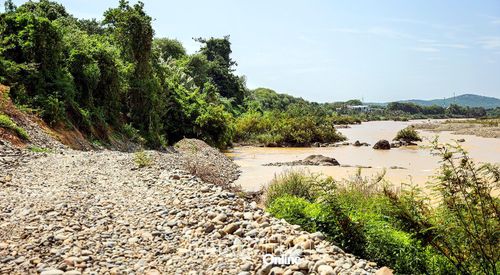 Khu vực sạt lở được xã Mỹ Sơn huy động nguồn lực xã hội hóa gia cố tạm bằng đá, sỏi để giảm nguy cơ bờ sông tiếp tục bị xói lở.