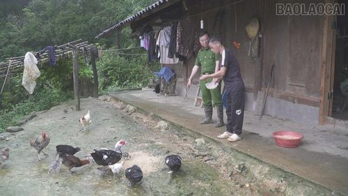 Cán bộ, chiến sĩ Công an xã Chế Tạo luôn gần gũi động viên anh Giàng A Chinh tập trung phát triển kinh tế, tránh xa ma túy.