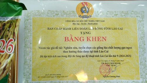  Giống lúa thuần LC26 do Trung tâm Giống nông nghiệp tỉnh Lào Cai nghiên cứu đạt giải Nhất tại Hội thi Sáng tạo Khoa học - Kỹ thuật tỉnh Lào Cai lần thứ 9. 