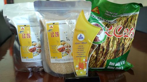 Bao bì sản phẩm giống lúa thuần LC26 khi đưa ra thị trường.