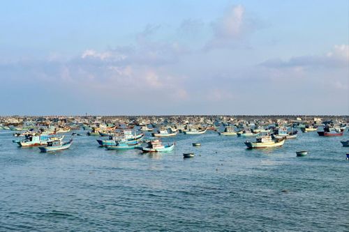 Tàu thuyền ngư dân ở vùng biển đặc khu Phú Quý