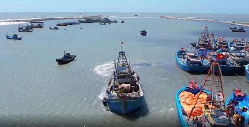 Các tàu đánh bắt khai thác thủy sản ở phường Phước Hội ra khơi, cập bến