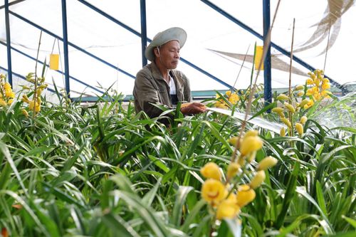 Lĩnh vực nông nghiệp Lâm Đồng đã và đang đóng góp rất ổn định vào GRDP của tỉnh
