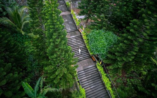 Đường lên chùa Linh Sơn Trường Thọ trên núi Tà Kóu (Ảnh tư liệu)