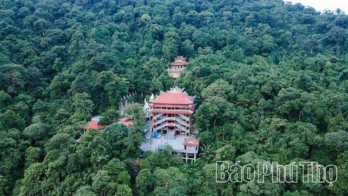 Điều làm nên sức hấp dẫn của quần thể đền Mẫu, chùa Vàng không chỉ là giá trị tín ngưỡng hay kiến trúc, mà còn bởi sự giao hòa gần như tuyệt đối giữa thiên nhiên và văn hóa.