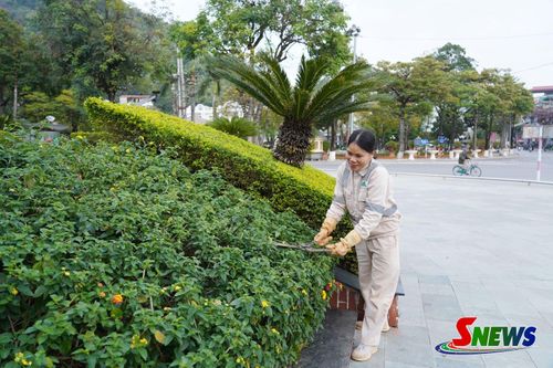 Công nhân Xí nghiệp Cây xanh cắt tỉa cây xanh tại Vườn hoa cầu Trắng, phường Tô Hiệu. Ảnh: PV