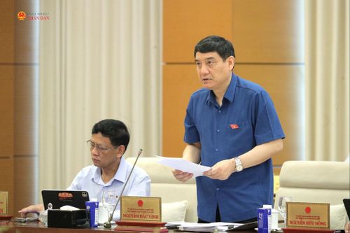 Chủ nhiệm Ủy ban Văn hóa và Xã hội Nguyễn Đắc Vinh trình bày Báo cáo thẩm tra sơ bộ