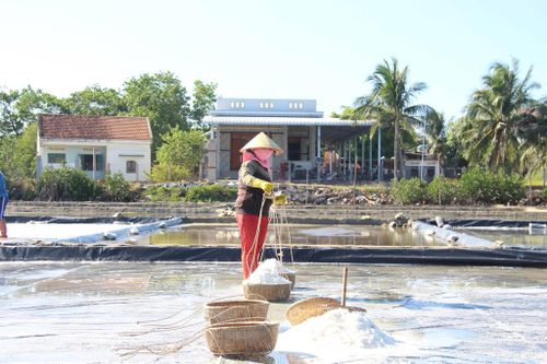 Lao động sản xuất muối ở Gia Lai đang có xu hướng giảm do chuyển đổi ngành nghề khác