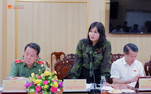 ĐBQH hoạt động chuyên trách tại Ủy ban Quốc phòng, An ninh và Đối ngoại Thái Quỳnh Mai Dung phát biểu tại buổi làm việc